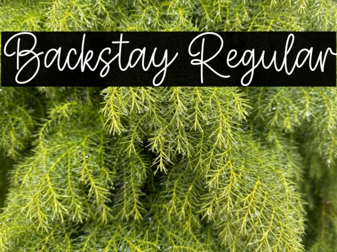 Backstay Regular Example 2