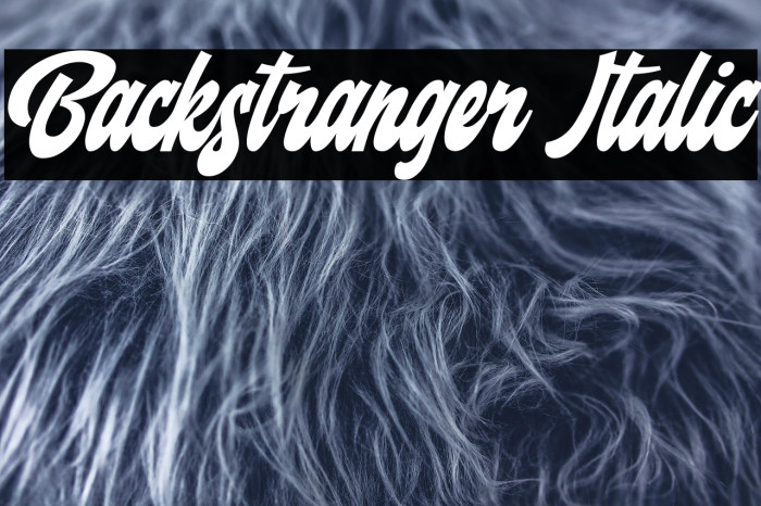 Backstranger Italic Example 2