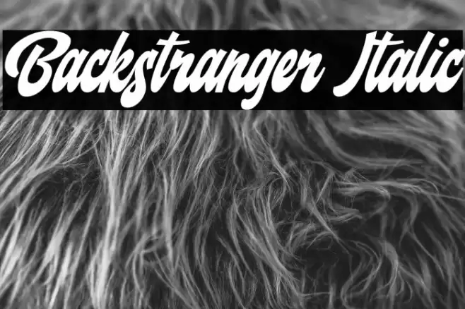 Backstranger Italic Font examples