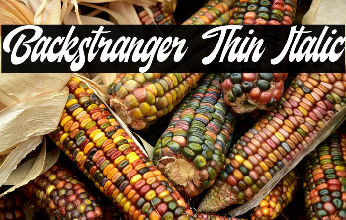 Backstranger Thin Italic Example 3