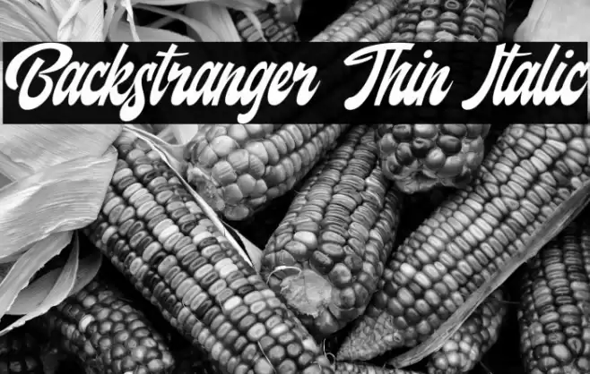 Backstranger Thin Italic Font examples