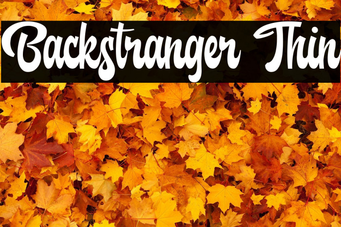 Backstranger Thin Example 3