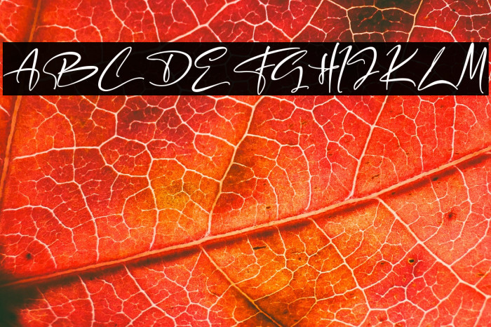 Backstreet Example 1