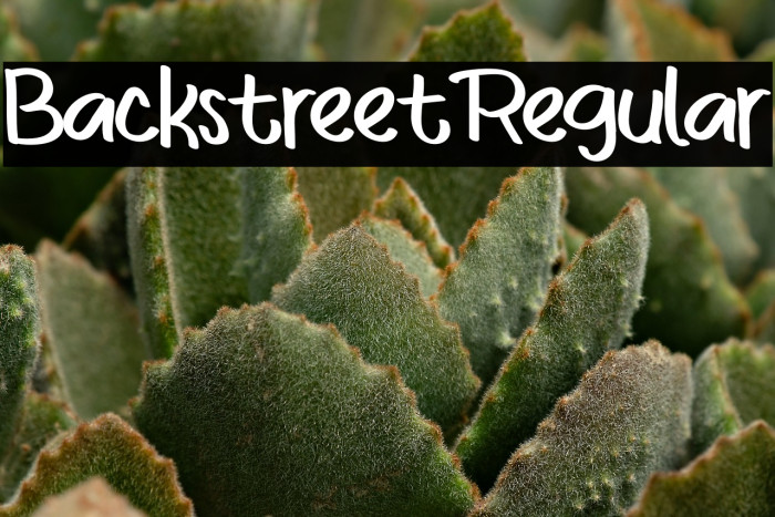 BackstreetRegular Example 3