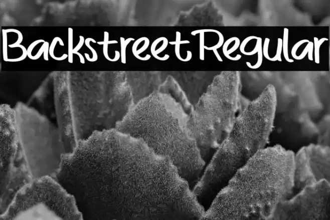 BackstreetRegular Font examples