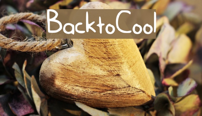 BacktoCool Font examples
