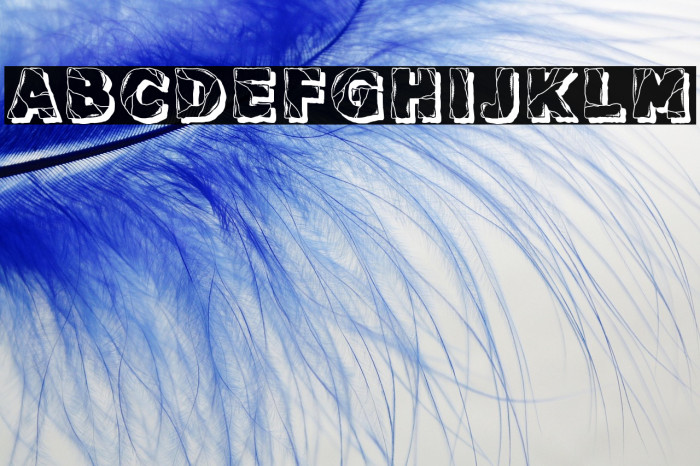 Backtrack Regular Example 1