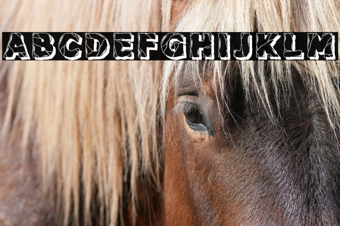 Backtrack Regular Example 3