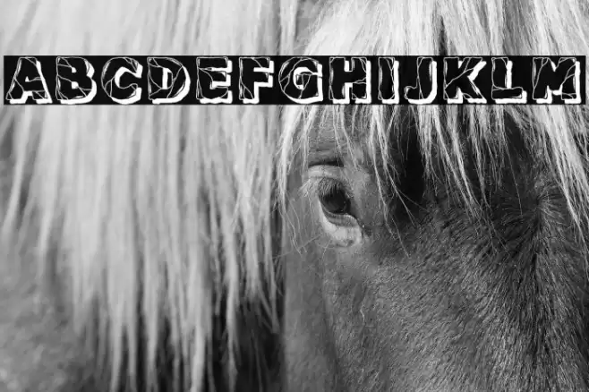 Backtrack Regular Font examples