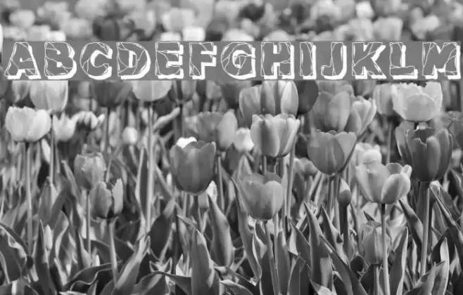 Backtrack Regular Font examples