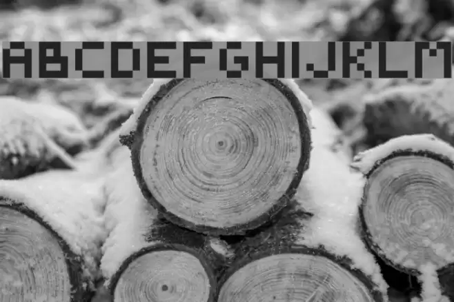 BackwardsPixelized Regular Schriftart examples