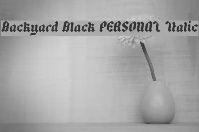 Backyard Black PERSONAL Italic Font examples