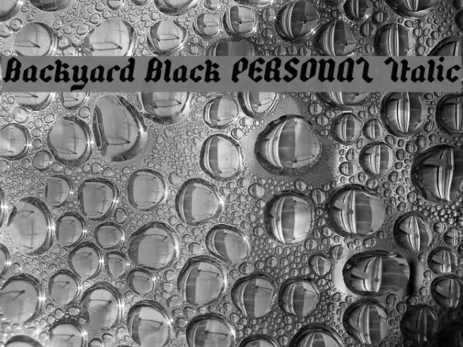 Backyard Black PERSONAL Italic Font examples