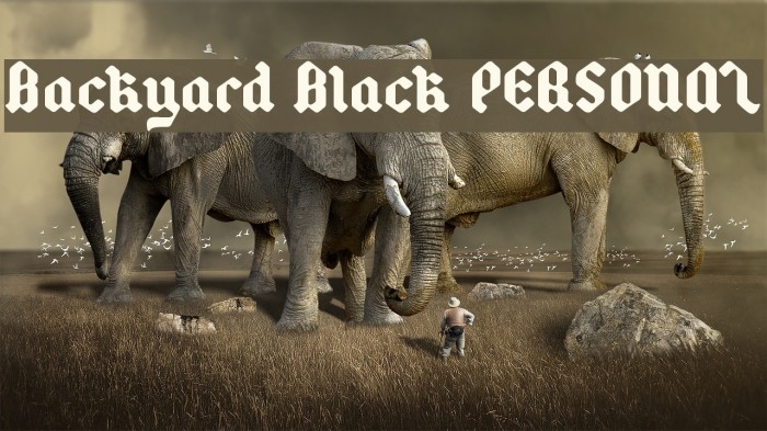Backyard Black PERSONAL Font examples