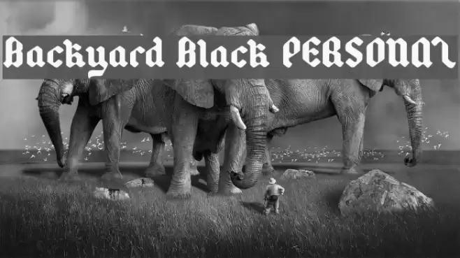 Backyard Black PERSONAL Polices examples