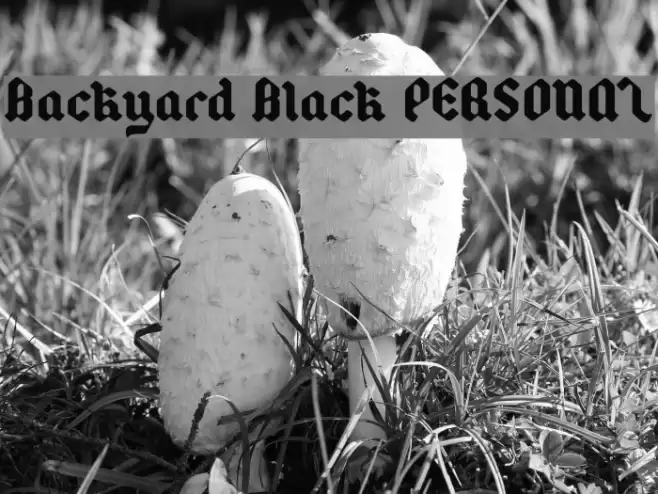 Backyard Black PERSONAL Polices examples