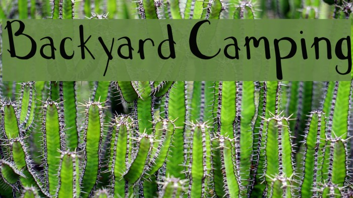 Backyard Camping Font examples