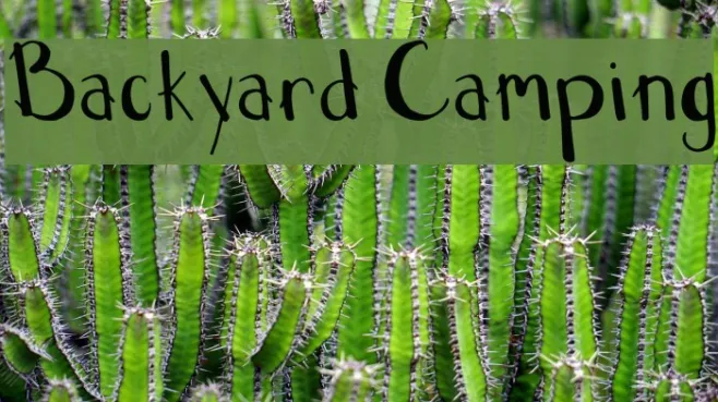 Backyard Camping Example 2