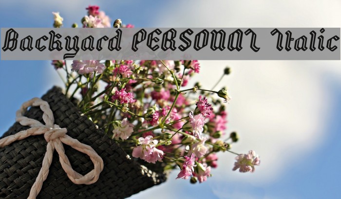 Backyard PERSONAL Italic Font examples
