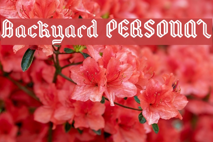 Backyard PERSONAL Font examples