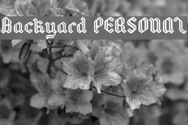 Backyard PERSONAL Font examples