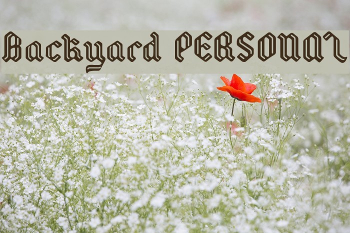 Backyard PERSONAL Font examples