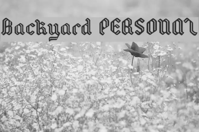 Backyard PERSONAL Font examples
