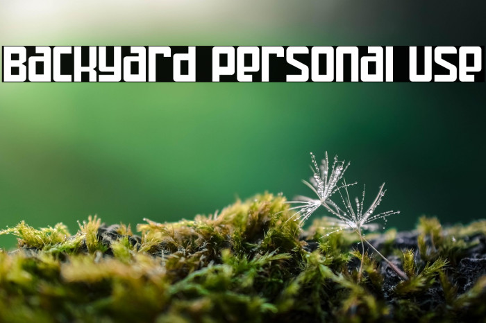 Backyard personal use Example 3