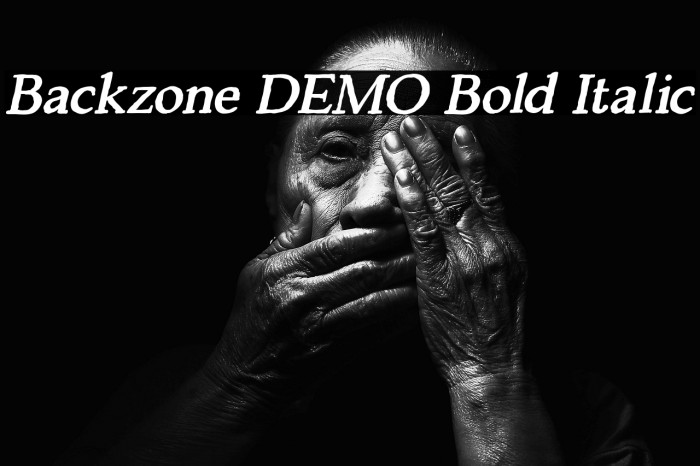 Backzone DEMO Bold Italic Example 1