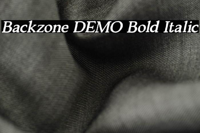 Backzone DEMO Bold Italic Example 2