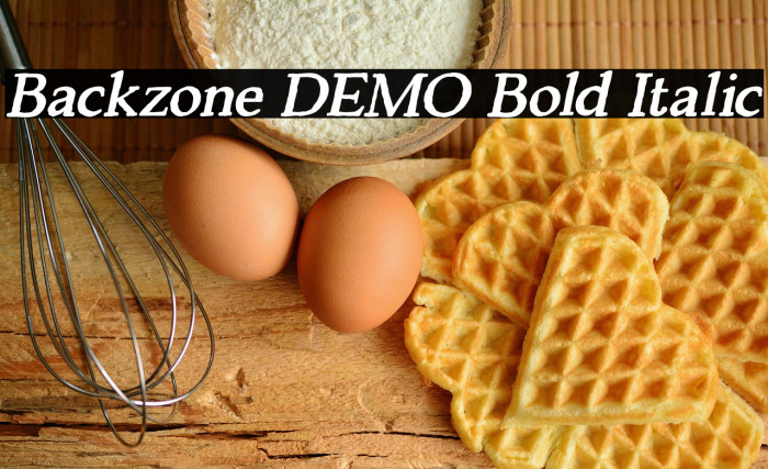 Backzone DEMO Bold Italic Example 3