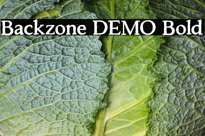 Backzone DEMO Bold Example 1
