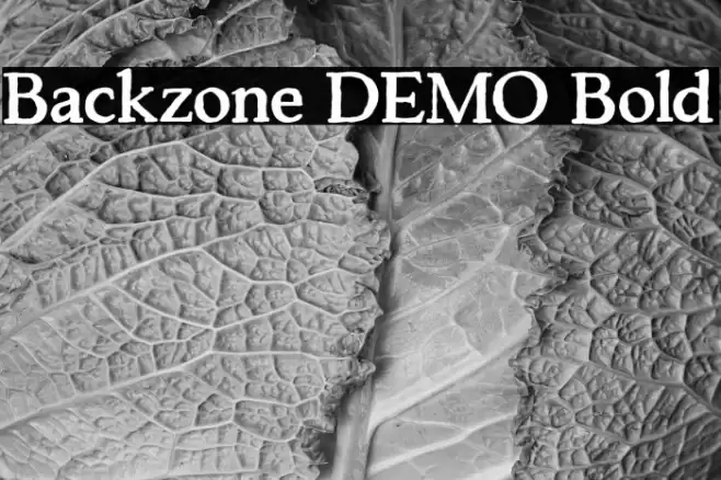 Backzone DEMO Bold Font examples