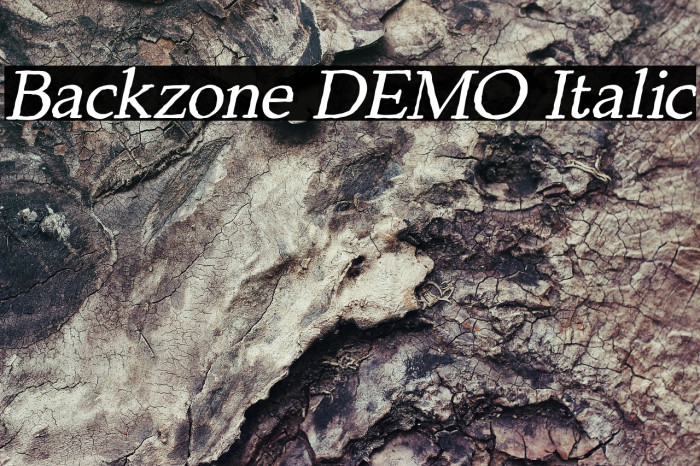 Backzone DEMO Italic Example 2