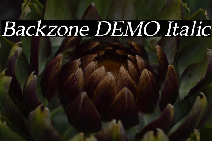 Backzone DEMO Italic Example 3