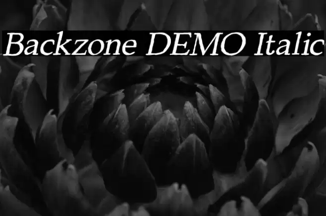 Backzone DEMO Italic Font examples