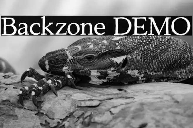 Backzone DEMO Font examples