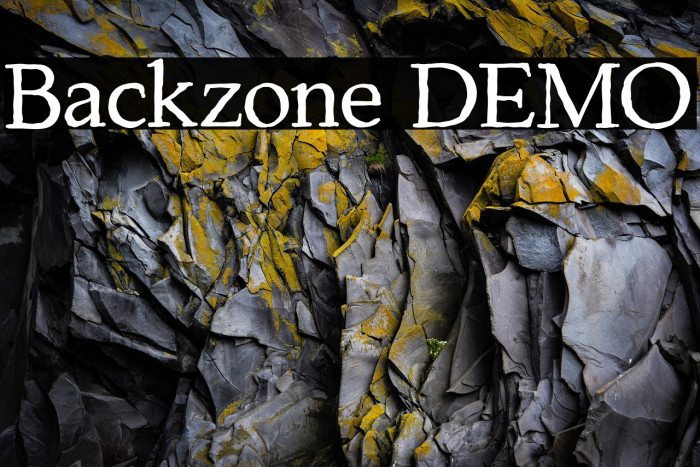 Backzone DEMO Example 3