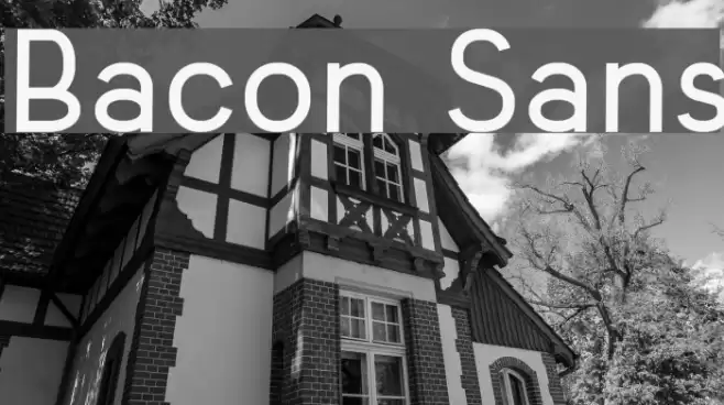 Bacon Sans Font examples