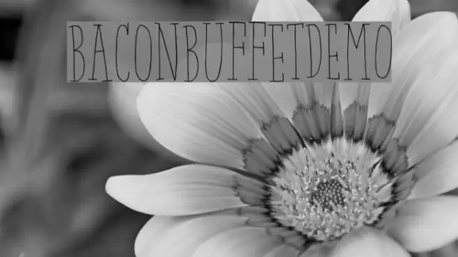 BaconBuffetDEMO Font examples
