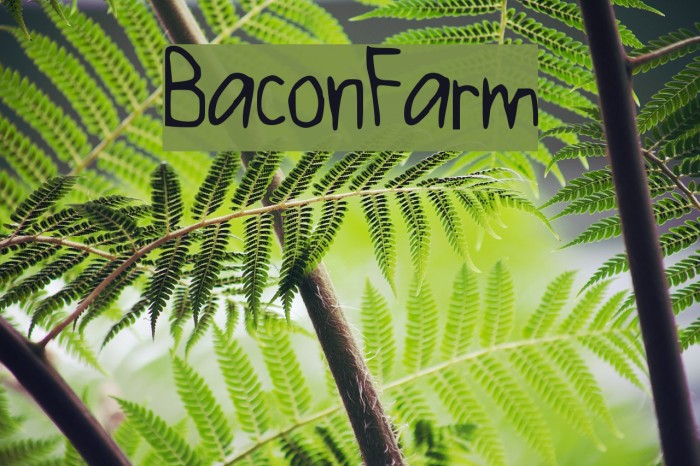 BaconFarm Font examples