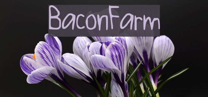 BaconFarm Font examples