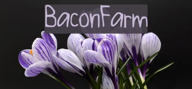 BaconFarm Example 3