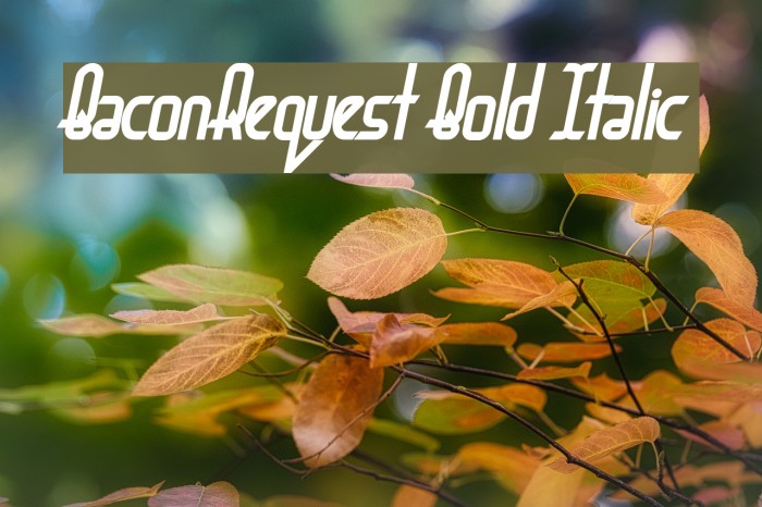 BaconRequest Bold Italic Example 1
