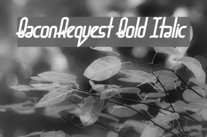 BaconRequest Bold Italic Font examples