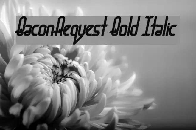 BaconRequest Bold Italic Font examples