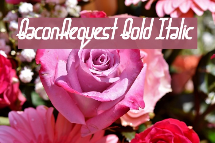 BaconRequest Bold Italic Example 3