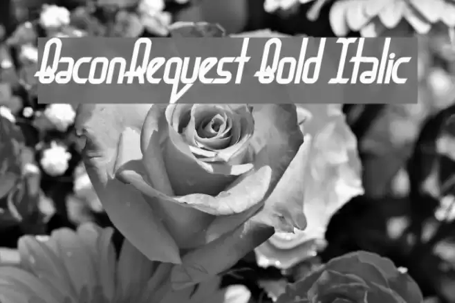 BaconRequest Bold Italic Font examples