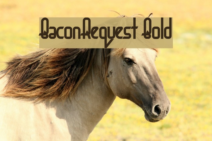 BaconRequest Bold Font examples