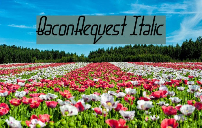 BaconRequest Italic Font examples